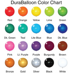 DuraBalloon Single Light Pole Kit