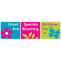 Great Blooming Banner Pink
