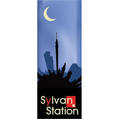 CityScape Night Banner 1