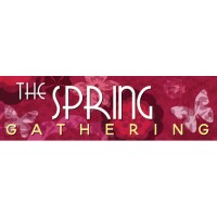 Pink Butterfly Banner