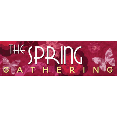 Pink Butterfly Banner