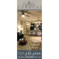 Custom Impression Banner