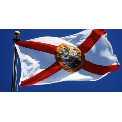 Other State Flags