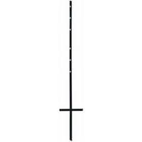 Single Stake