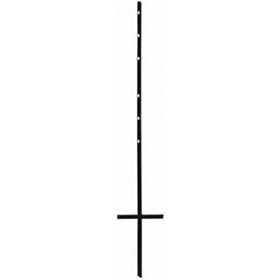 Single Stake