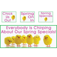 Chirping Spring Campaign