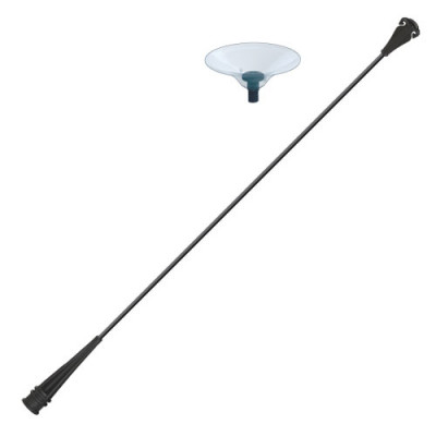 Universal Stem