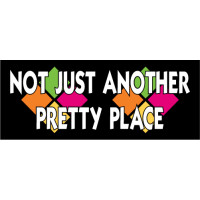 Pretty Banner