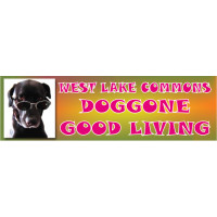 Doggone Banner