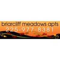 Fall Feeling Orange Banner