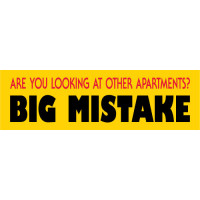 Big Mistake Banner