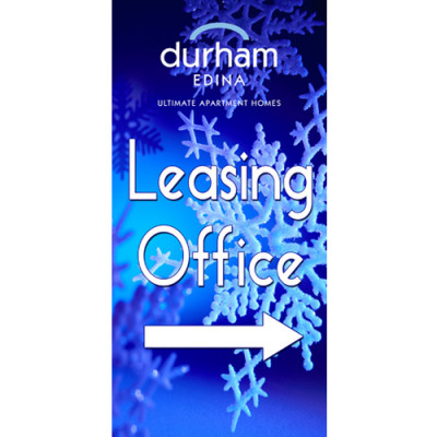 Snowflake Light Pole Banner