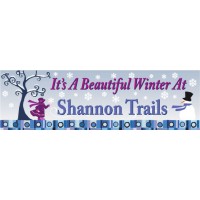 Beautiful Winter Banner