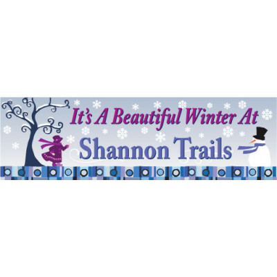 Beautiful Winter Banner