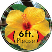Social Distancing Pool Graphic Hibiscus