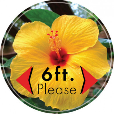 Social Distancing Pool Graphic Hibiscus