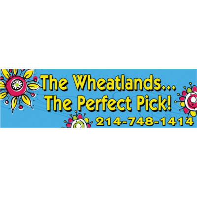 Doodles Cool Blue Banner