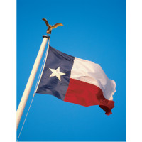 Texas State Flag
