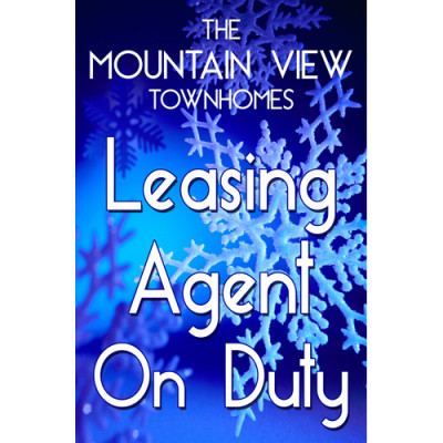 Winter Snowflake Vertical Sign 