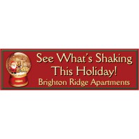 Holiday Snow Globe Banner