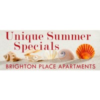 Summer  Shells Banner