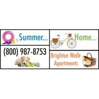 Summer  Home Banner
