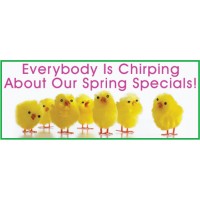  Chick Banner