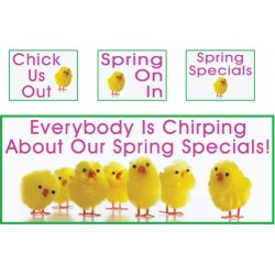  Chick Banner