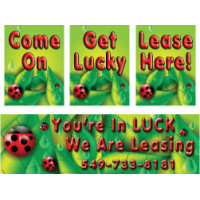 LuckyBug Campaign LuckyBug Campaign