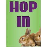 Spring Bunny Green Sign