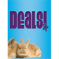 Spring Bunny Blue Sign