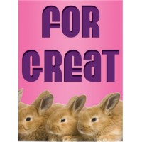 Spring Bunny Pink Sign