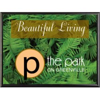 Ferns  Artwork
