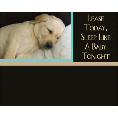 Puppy Headboard Graphic