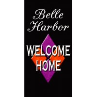 Diamond Dazzler Boulevard BannerPink